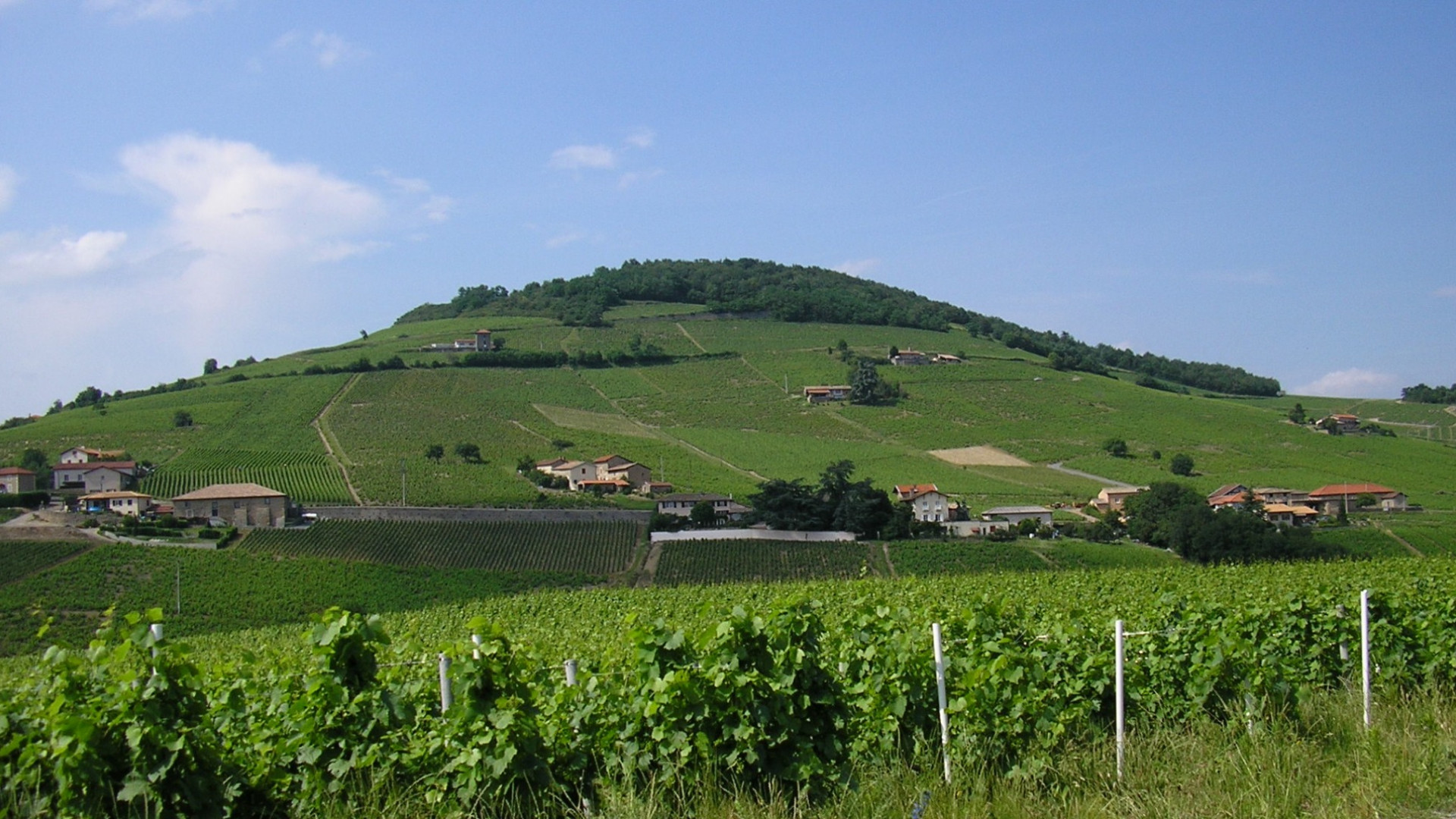 Maisson, artisan du goût en Beaujolais